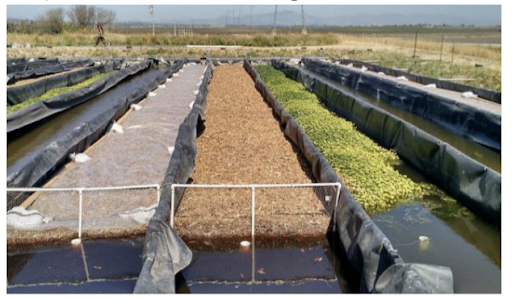 bioreactor