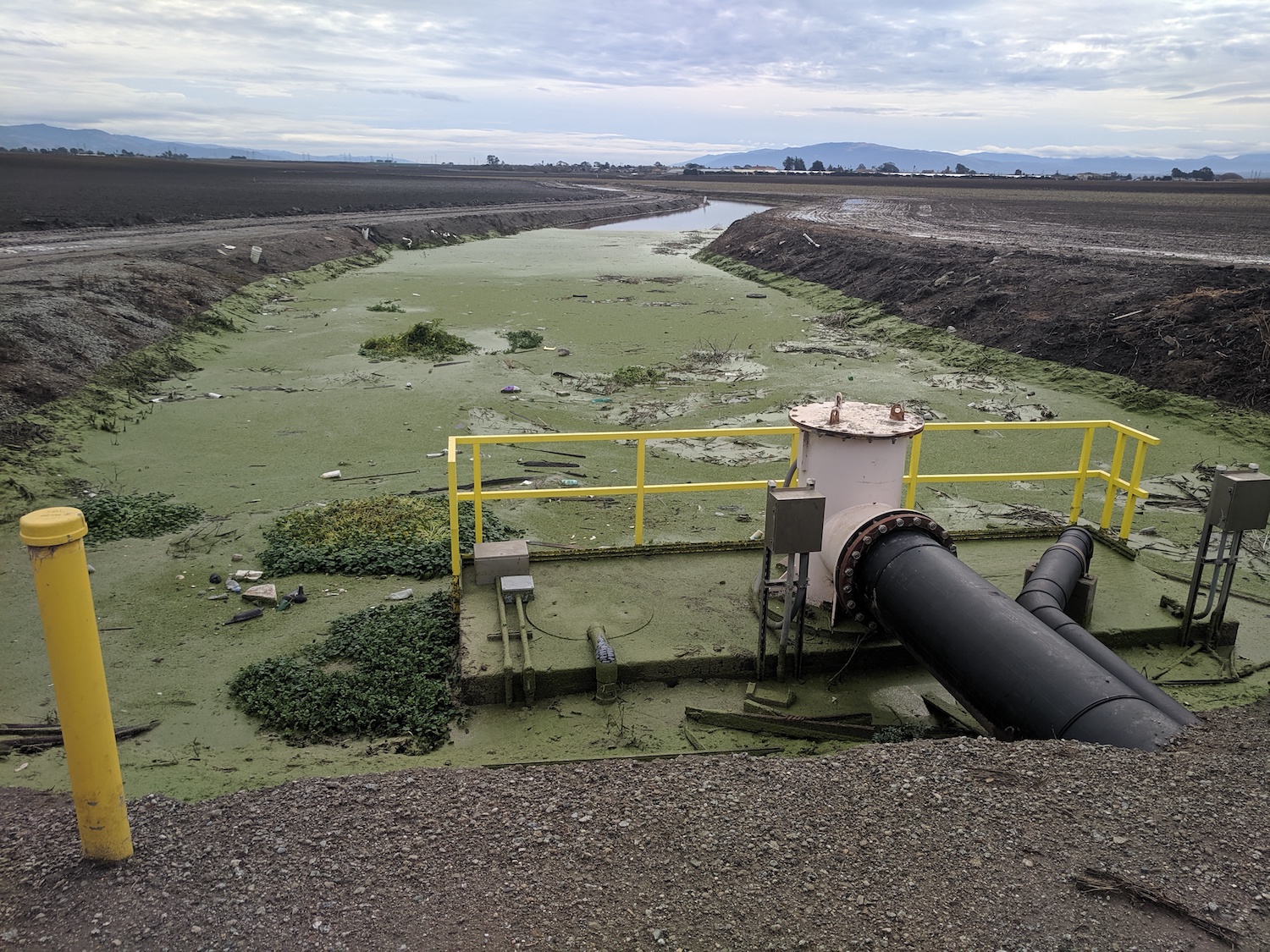 CCWG.Moss Landing Ag Ditch